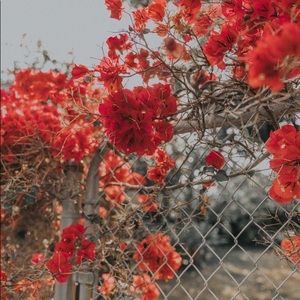 Meet your Posher, Julianna